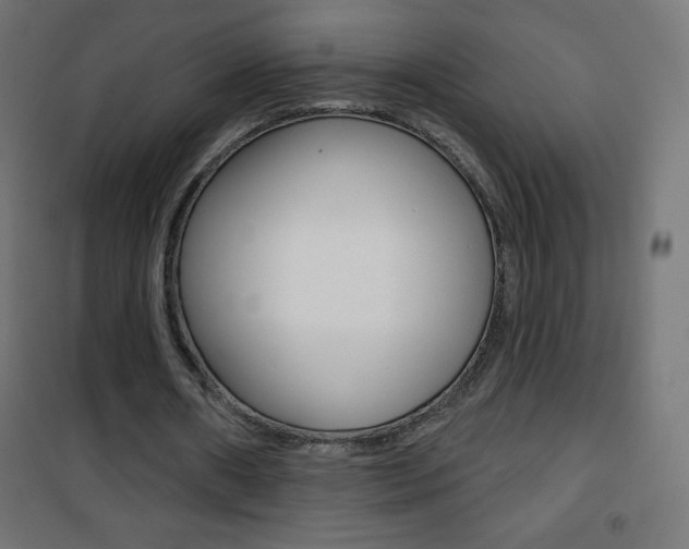 X0000101470482200807071222