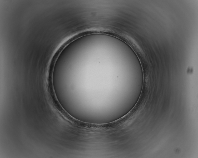 X0000101470484200807071222