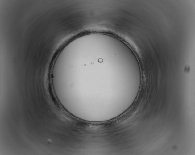 X0000101470487200807071222