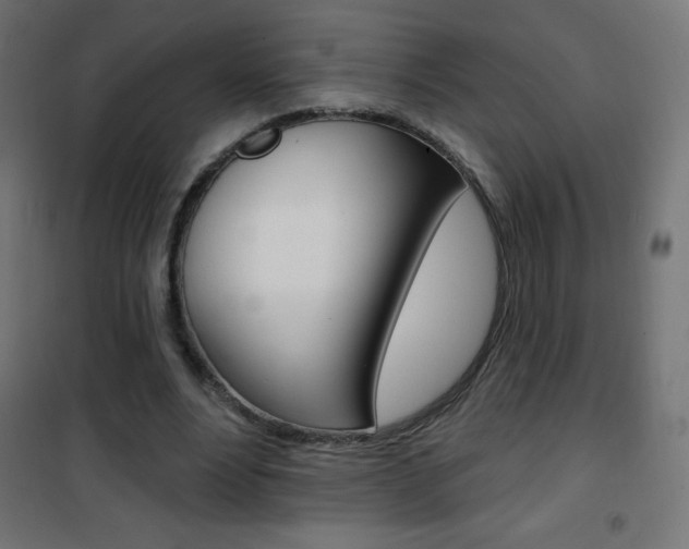 X0000101470488200807071222