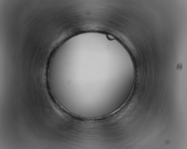X0000101470489200807071222