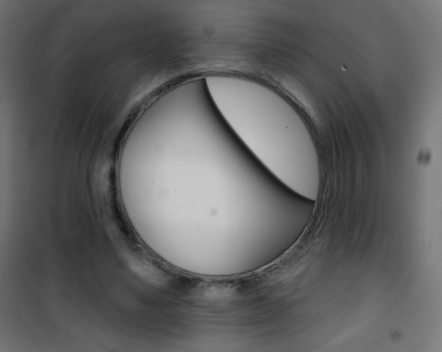 X0000101470491200807071222