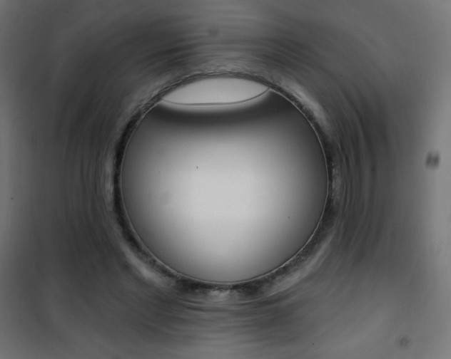 X0000101470493200807071222