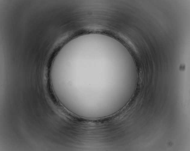 X0000101470494200807071222