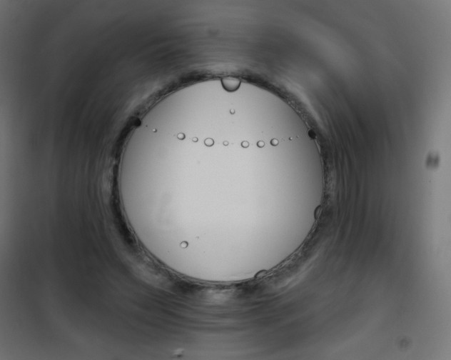 X0000101470495200807071222