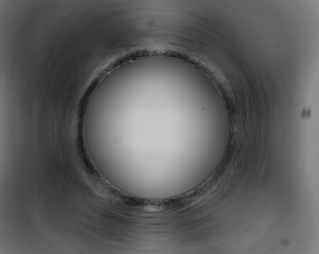 X0000101470496200807071222