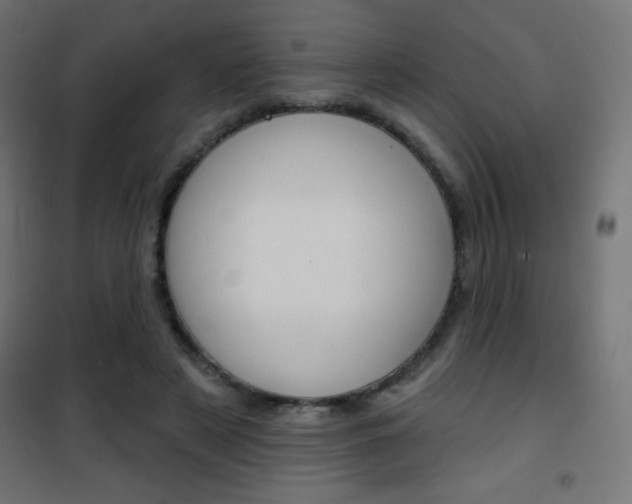 X0000101470497200807071222