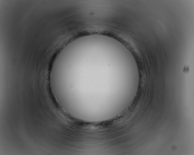 X0000101470498200807071222