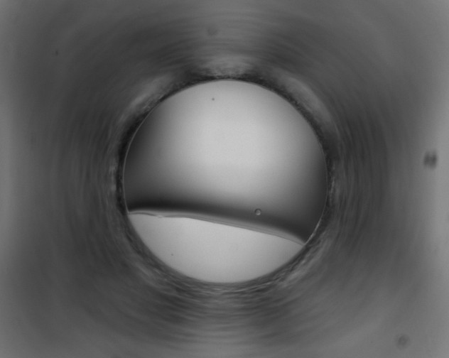 X0000101470501200807071222