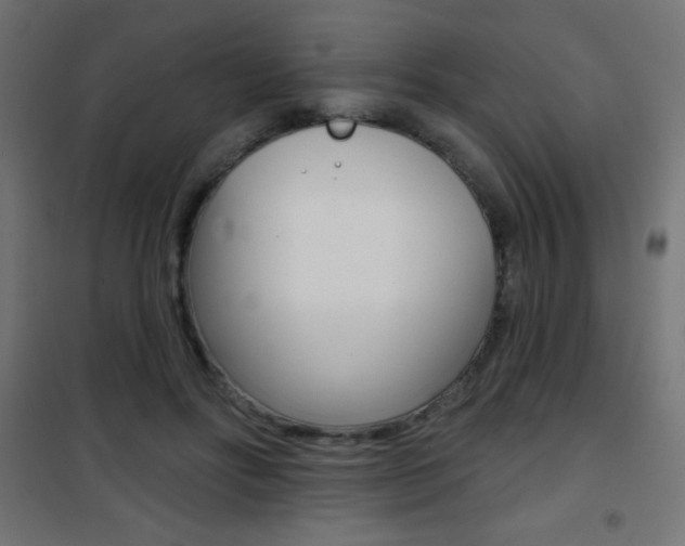 X0000101470502200807071222