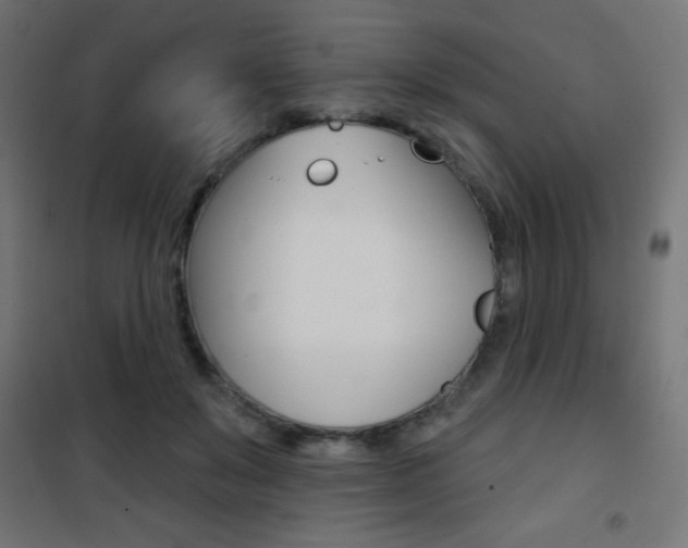 X0000101470503200807071222