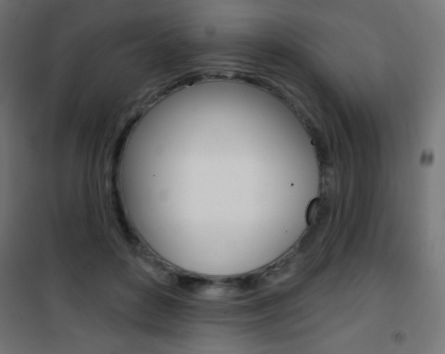 X0000101470504200807071222