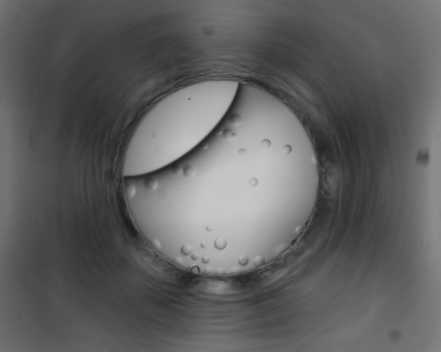 X0000101470507200807071222