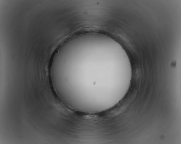 X0000101470508200807071222