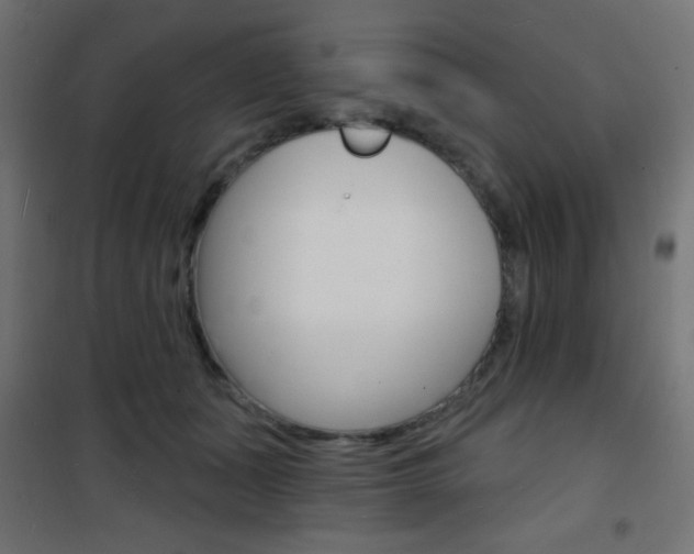 X0000101470511200807071222