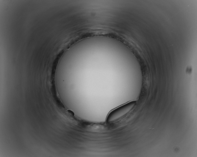 X0000101470512200807071222