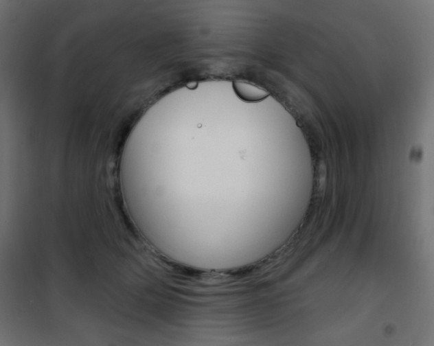 X0000101470514200807071222