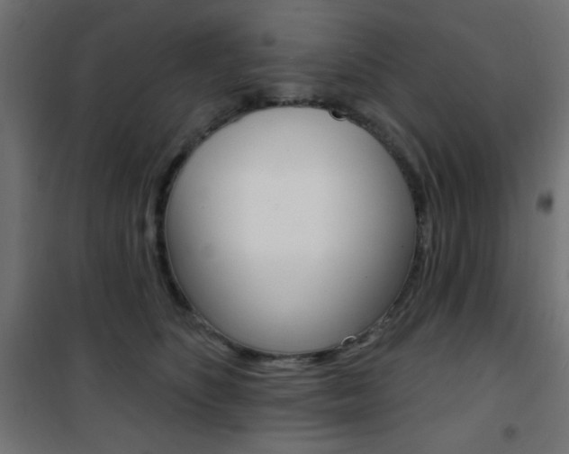 X0000101470516200807071222