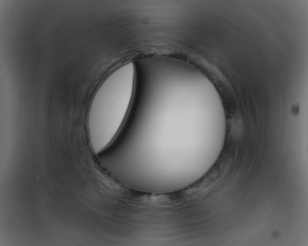 X0000101470517200807071222