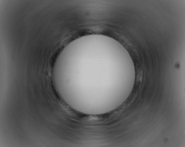 X0000101470518200807071222