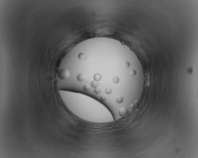 X0000101470519200807071222