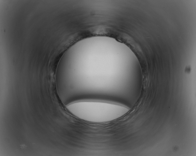 X0000101470521200807071222