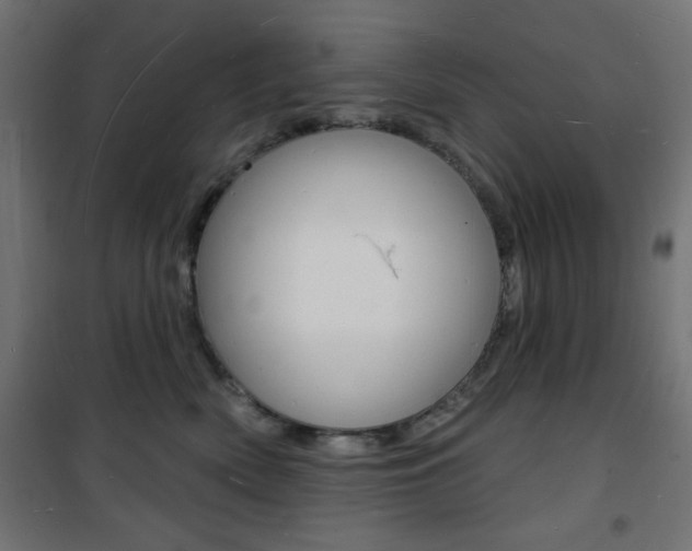 X0000101470522200807071222