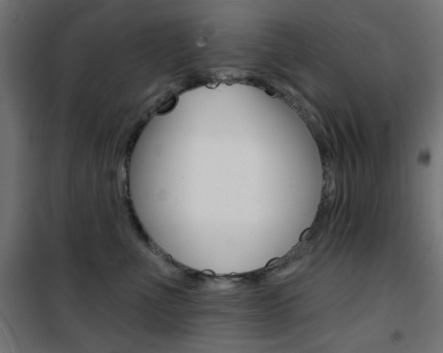 X0000101470523200807071222