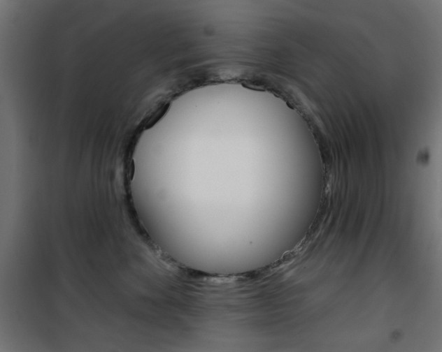 X0000101470524200807071222