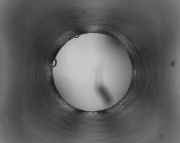 X0000101470525200807071222