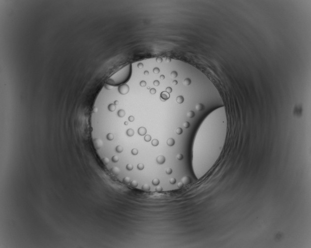 X0000101470527200807071222