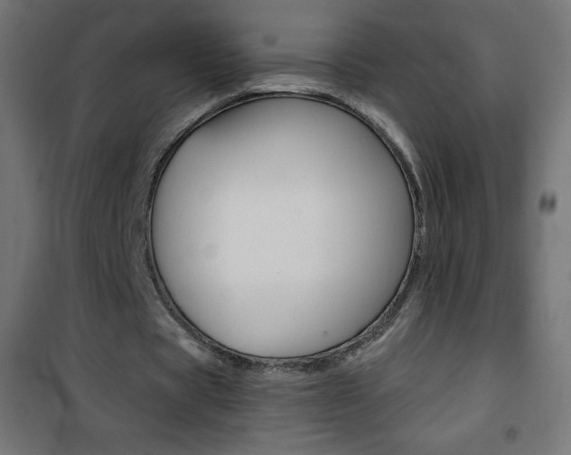 X0000101470529200807071221