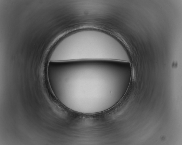 X0000101470531200807071221