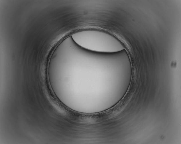 X0000101470533200807071221