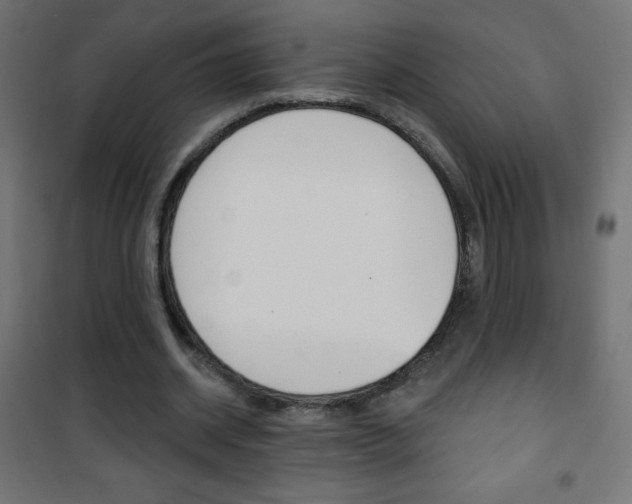 X0000101470534200807071221