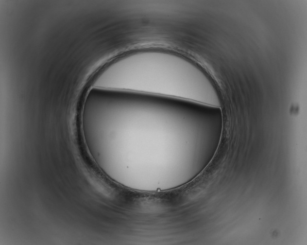 X0000101470535200807071221