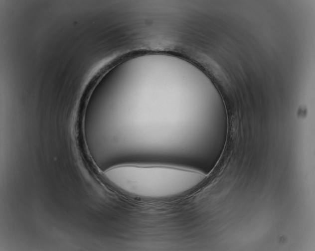 X0000101470536200807071221