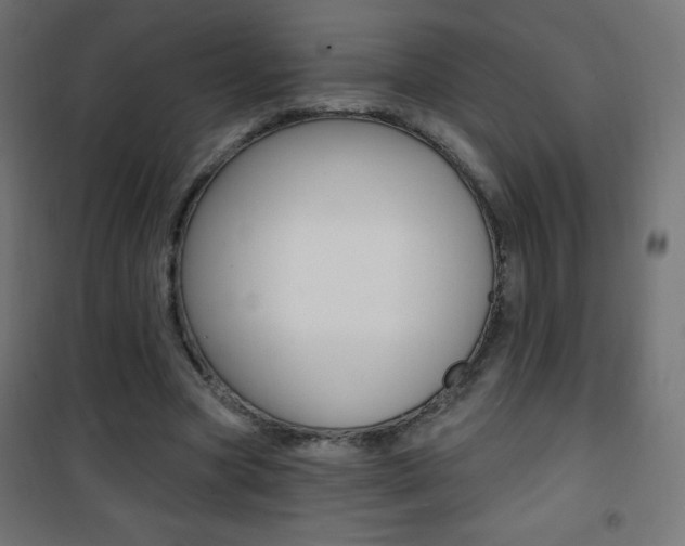 X0000101470537200807071221