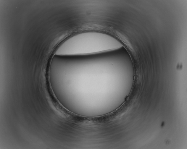 X0000101470538200807071221