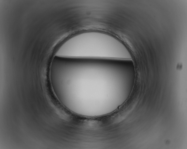 X0000101470539200807071221