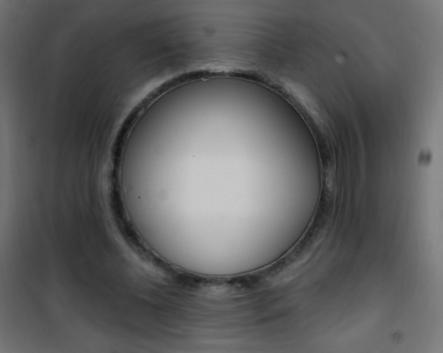 X0000101470540200807071221