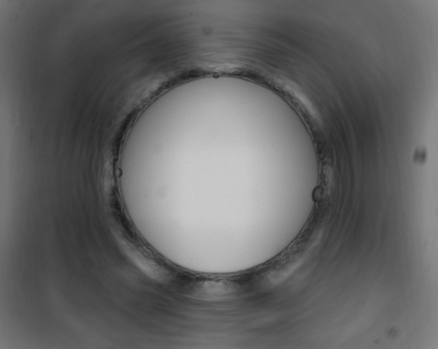 X0000101470541200807071221