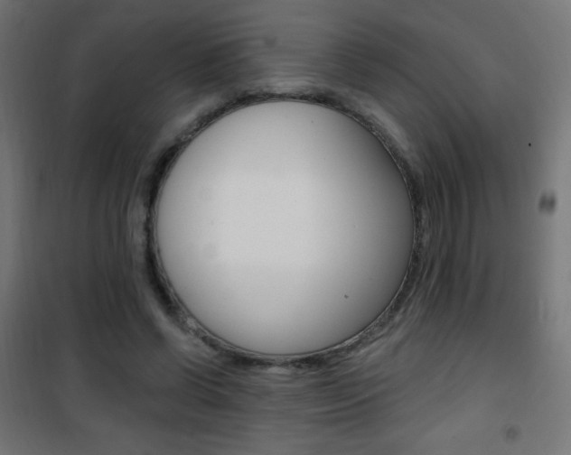 X0000101470542200807071221