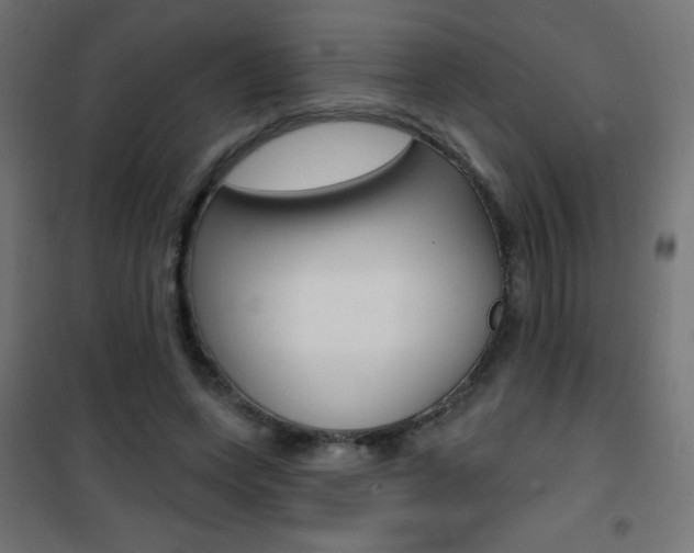 X0000101470543200807071221