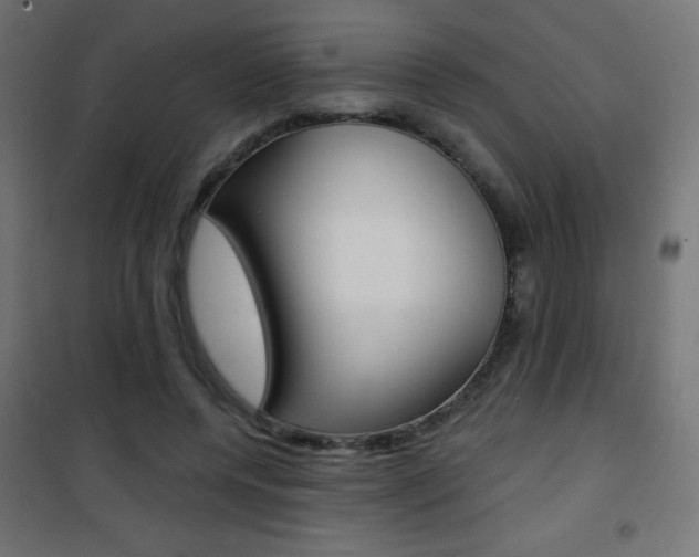 X0000101470544200807071221