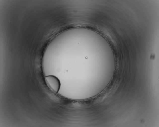 X0000101470545200807071221