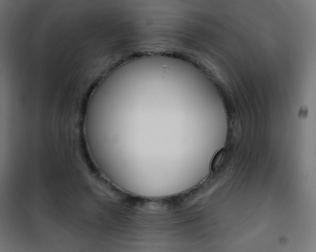 X0000101470546200807071221