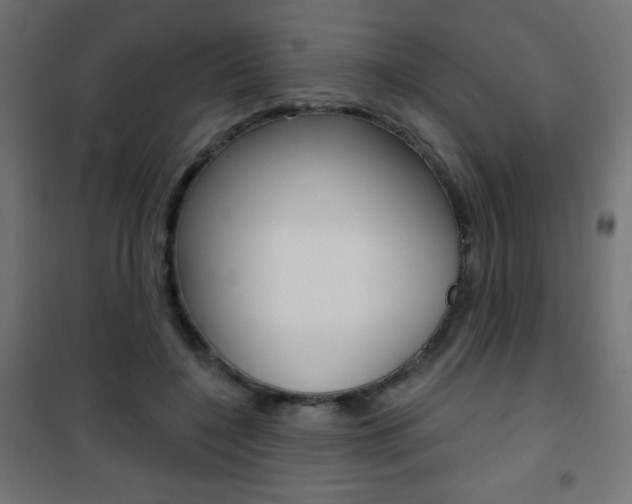 X0000101470548200807071221