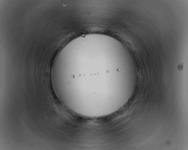 X0000101470550200807071221
