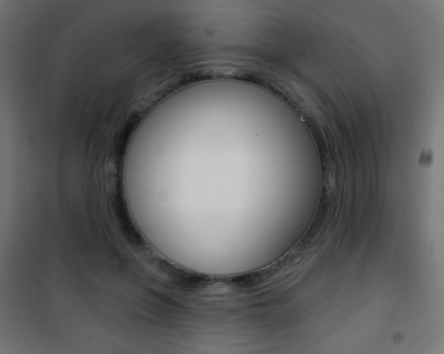 X0000101470551200807071221